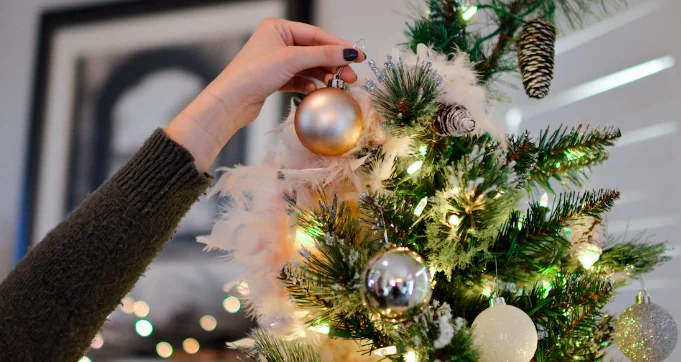 Albero a misura di gatto, le idee